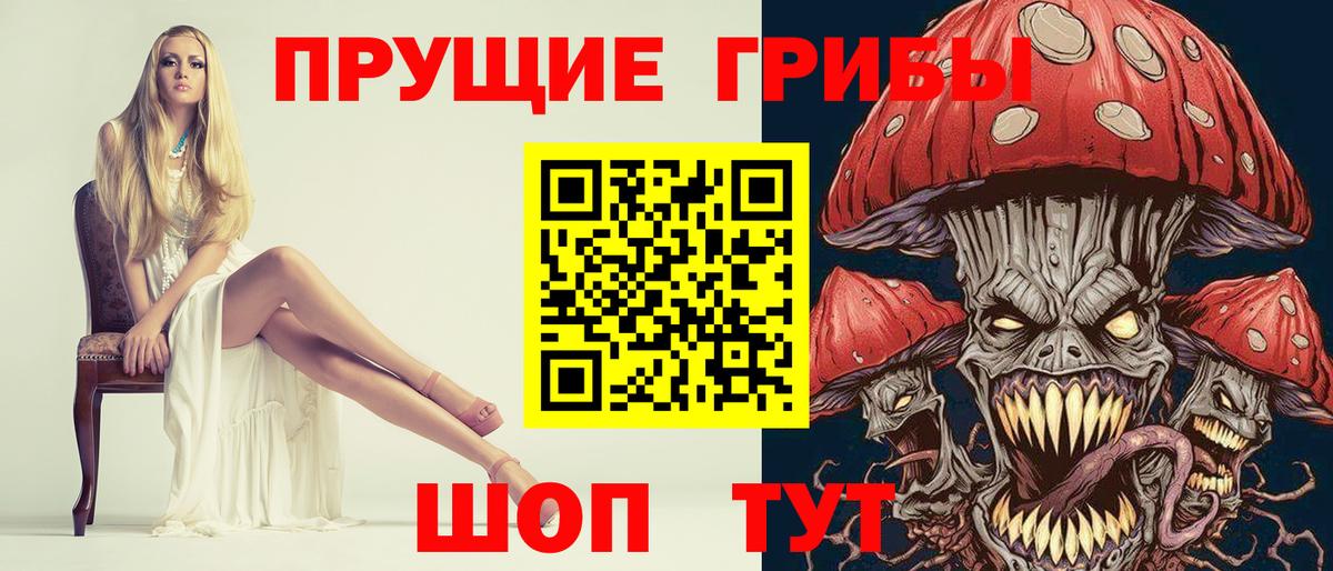 Псилоцибиновые грибы Psilocybine cubensis Махачкала